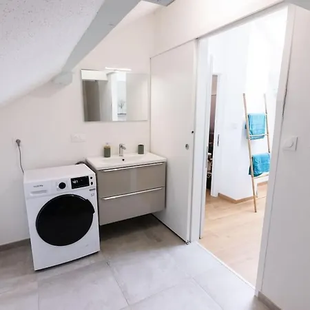 Near The Magic 6 Persons Apartment, 1 -minute Walk To Christmas Market! Apartment Mulhouse