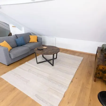 Near The Magic 6 Persons Apartment, 1 -minute Walk To Christmas Market! Apartment Mulhouse