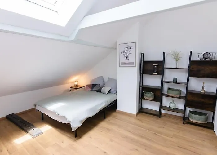 Near The Magic 6 Persons Apartment, 1 -minute Walk To Christmas Market! Apartamento Mulhouse